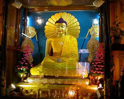 Buddha Tour