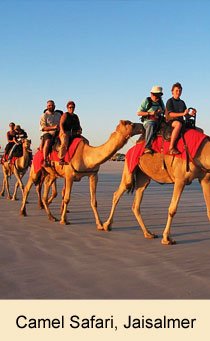 Camel Safari, Jaisalmer