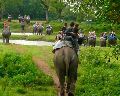 Chitwan National Park