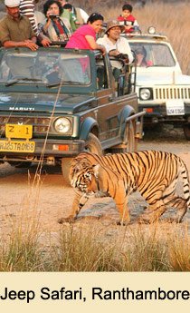 Jeep Safari Ranthambore National Park