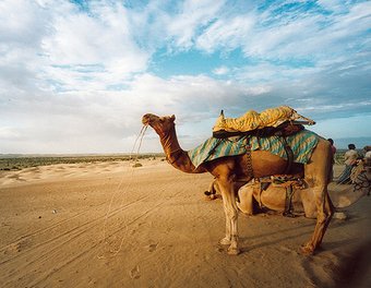 Rajasthan